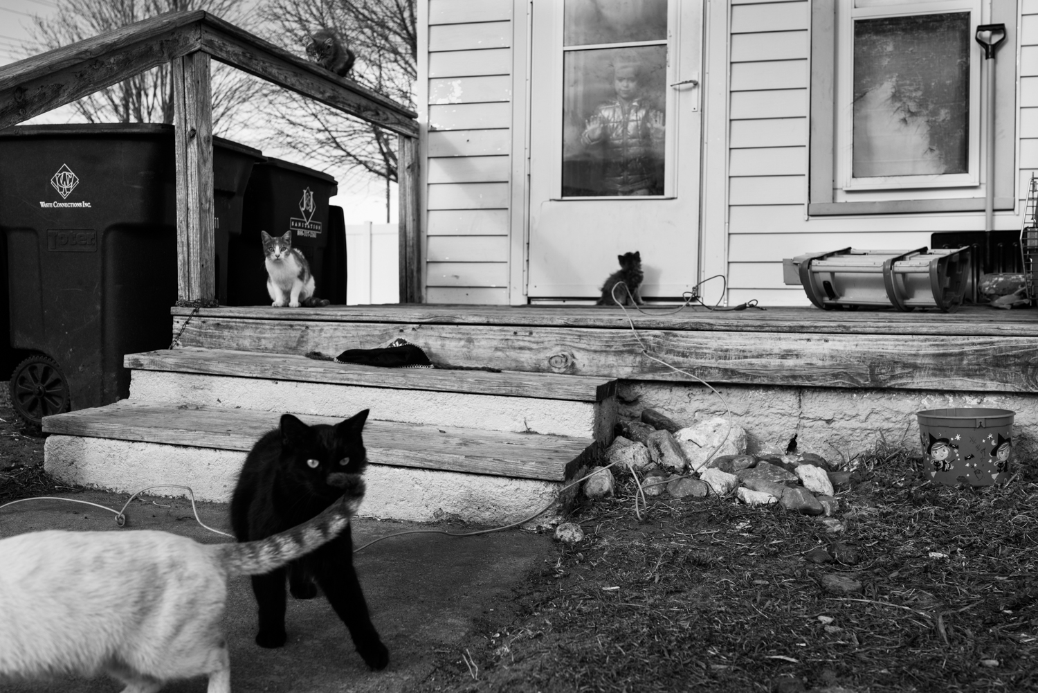House with porch, O'Neill, Nebraska